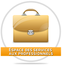 Espace des services aux professionnels